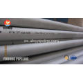 Acero inoxidable dúplex tubo ASTM A789 S32205